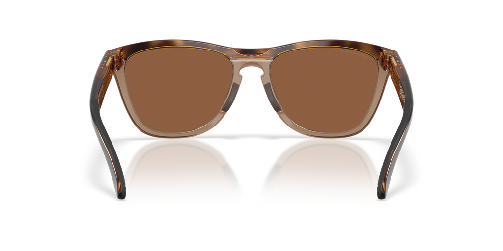 Oakley OO9503 Frogskins Range XL Round Sunglasses - Transparent Stonewash Clear