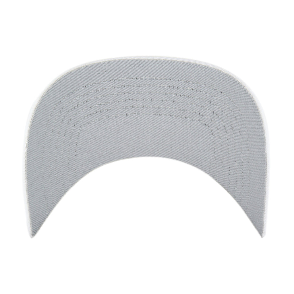 DENNY HAMLIN / JOE GIBBS ROSCOE '47 HITCH